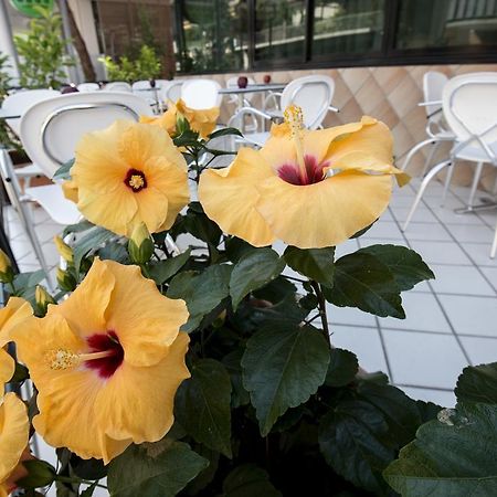 Hotel Scarlet Rimini Dış mekan fotoğraf