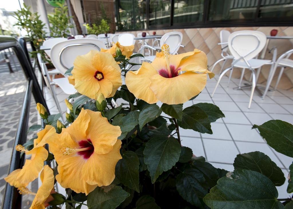 Hotel Scarlet Rimini Dış mekan fotoğraf